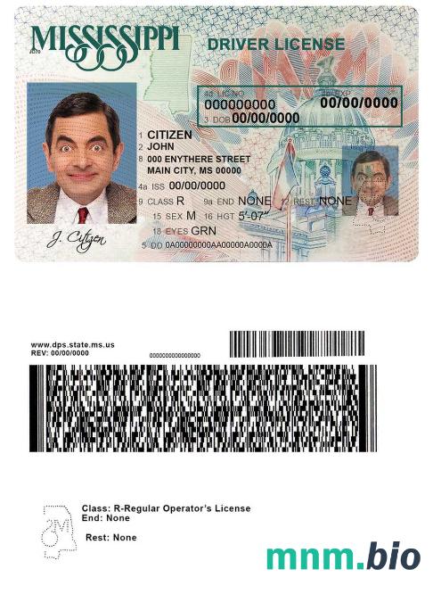 Szablon prawa jazdy USA Mississippi w formacie PSD, ze wszystkimi czcionkami
